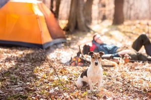 tempat camping di lembang