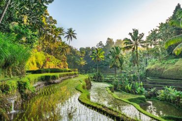 Memilih Bus saat ke Bali