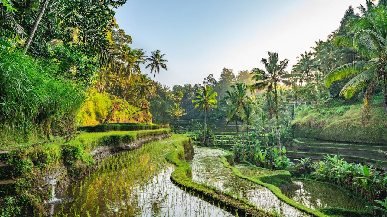 Memilih Bus saat ke Bali